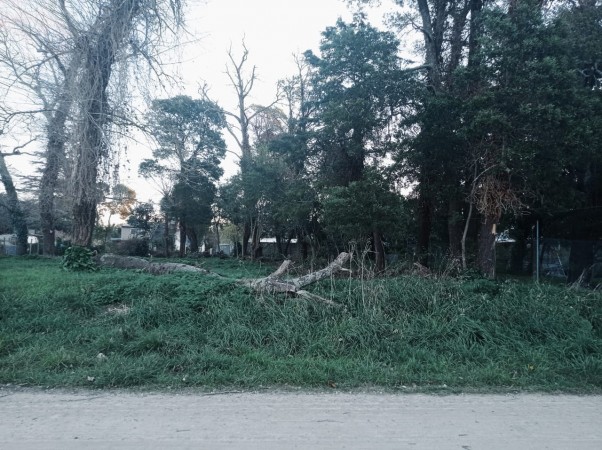 Venta Lote en Reserva Forestal Barrio El Tejado