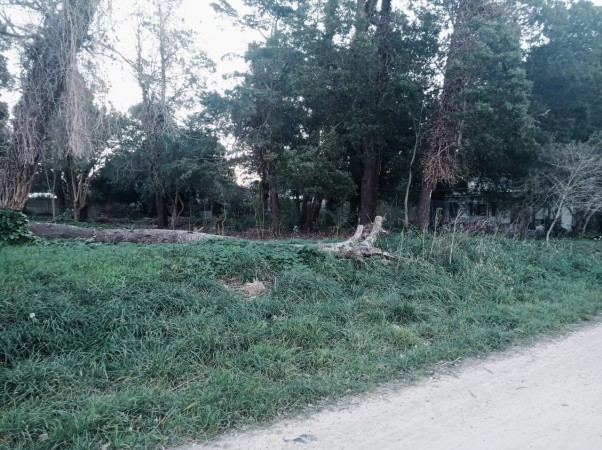 Venta Lote en Reserva Forestal Barrio El Tejado