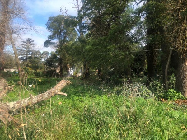 Venta Lote en Reserva Forestal Barrio El Tejado
