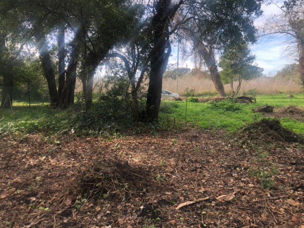 Venta Lote en Reserva Forestal Barrio El Tejado