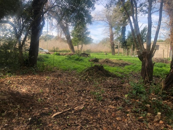 Venta Lote en Reserva Forestal Barrio El Tejado