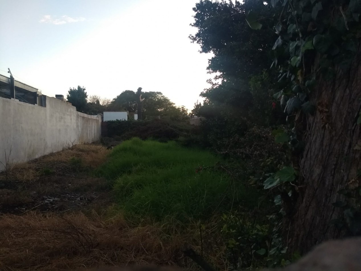 Venta de terreno en lo mejor de Colinas de Peralta Ramos