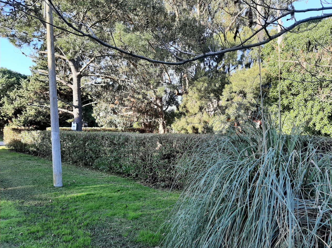 LOTE EN BARRANCA DE LOS LOBOS A 2 CUADRAS DE LA COSTA
