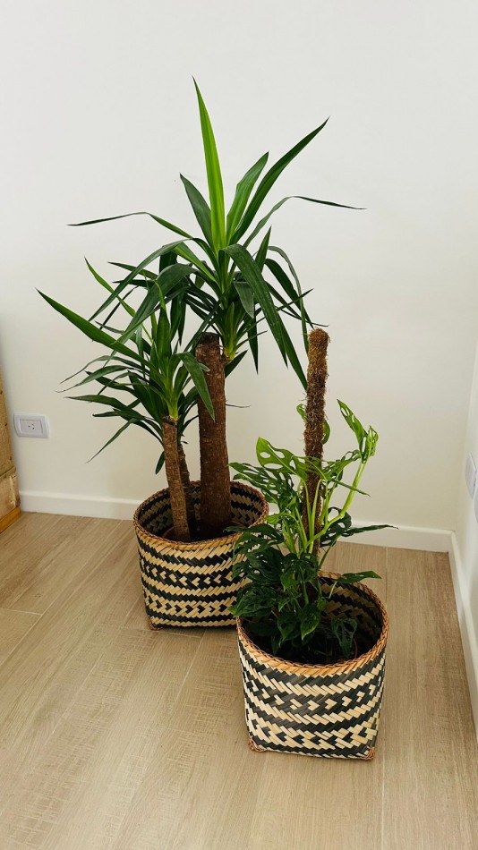 Venta departamento 2 ambientes a la calle con balcon. Edificio  Novecento 