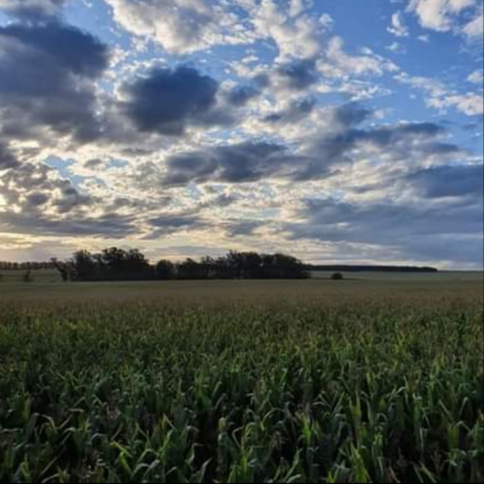 Venta Campo agricola Estacion Chapadmalal 