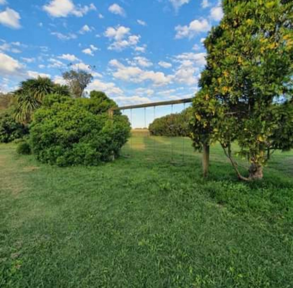 Venta Campo agricola Estacion Chapadmalal 