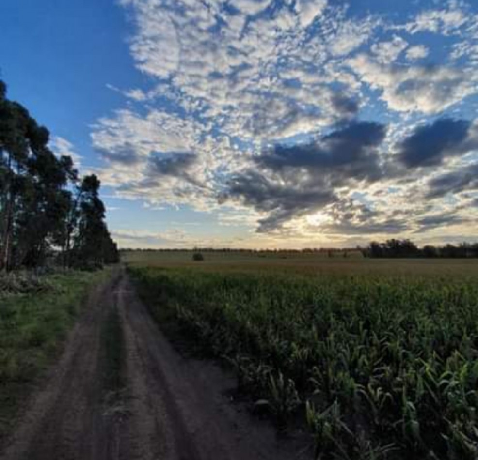Venta Campo agricola Estacion Chapadmalal 
