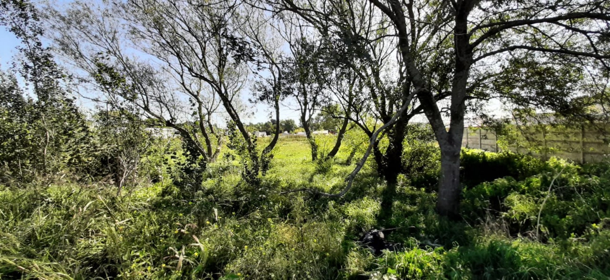 LOTES EN BLOCK ZONA EN PLENO CRECIEMIENTO.