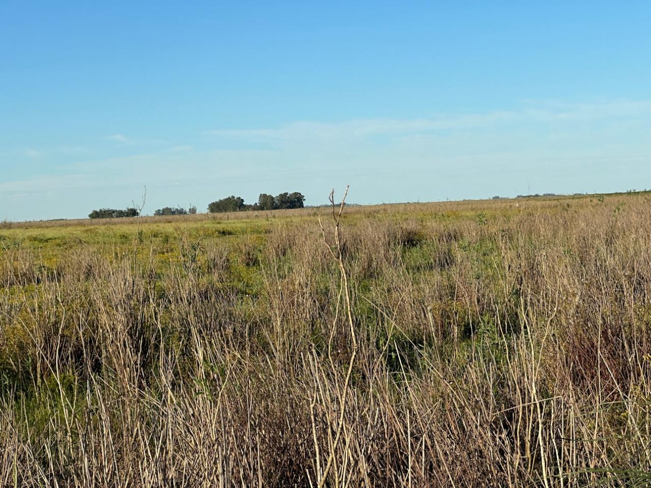 VENTA CAMPO MIXTO MACEDO