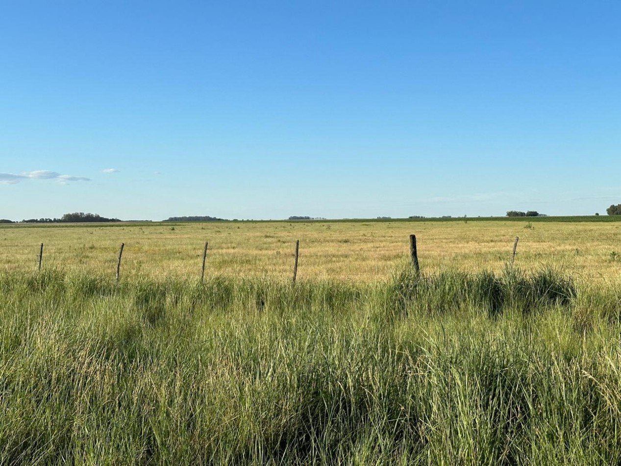 VENTA CAMPO MIXTO MACEDO