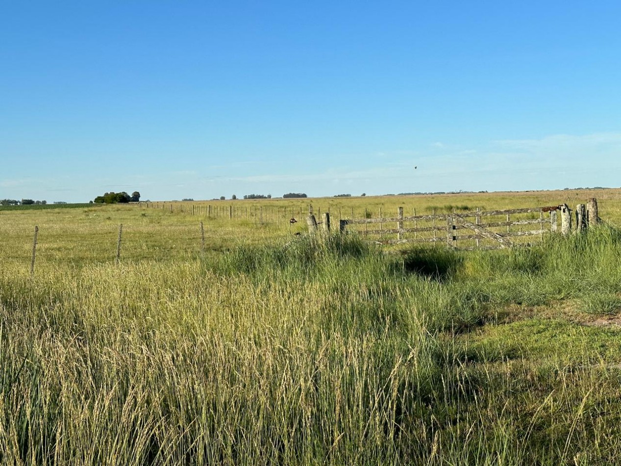 VENTA CAMPO MIXTO MACEDO