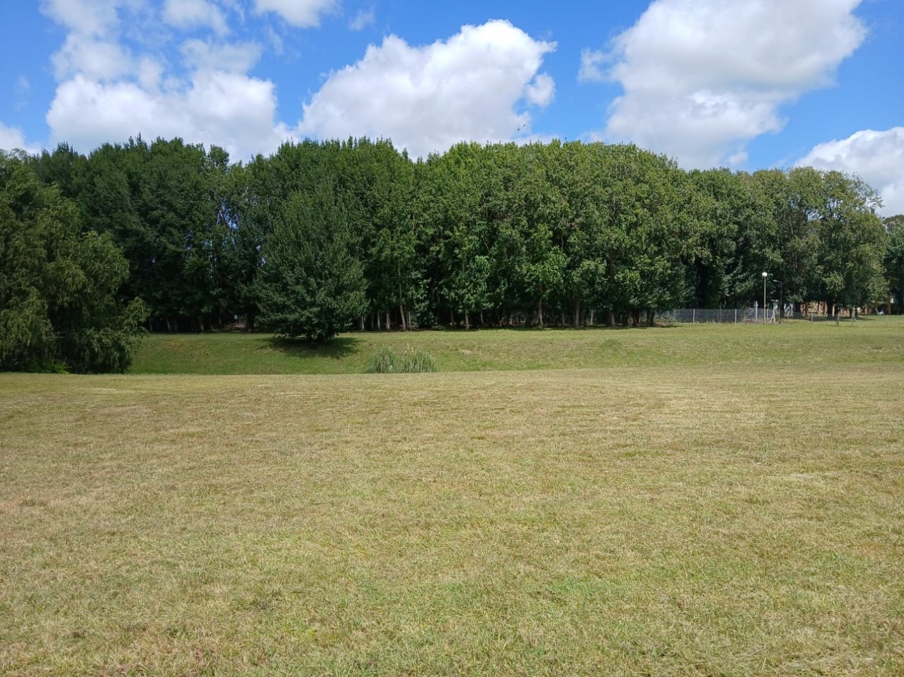 TERRENO / LOTE EN BARRANCAS DE SAN BENITO CON VISTA AL LAGO Y ARBOLADA.