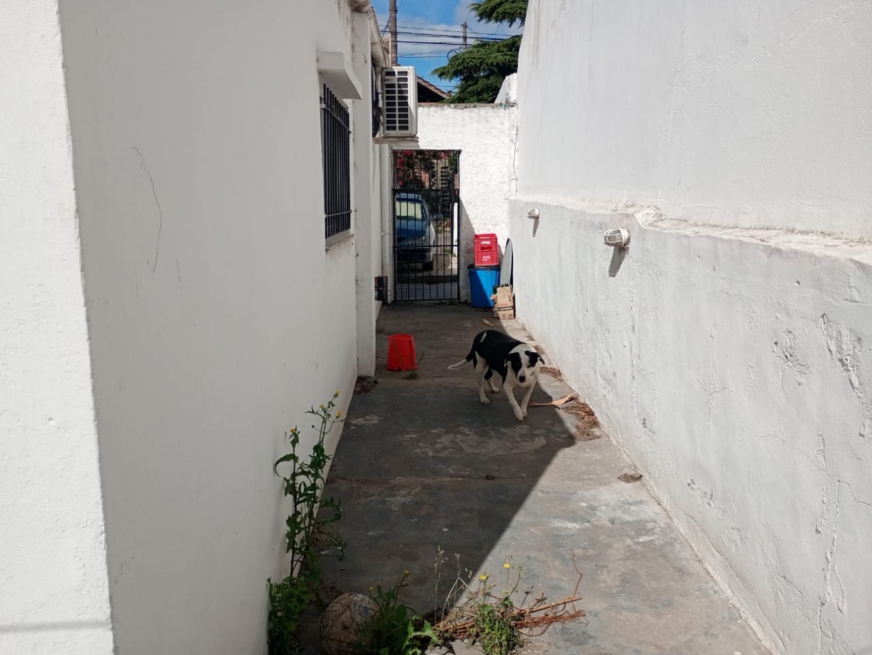 CASA 3 AMBBIENTES + DEPARTAMENTO 2 AMBIENTES 