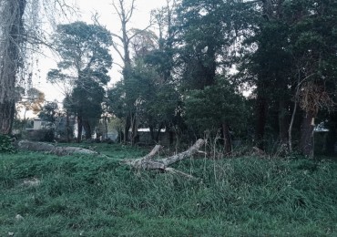 Venta Lote en Reserva Forestal Barrio El Tejado