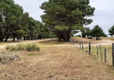 CHACRAS DE 4,5 HECTAREAS CON ACCESO A LA PLAYA ZONA MAR AZUL