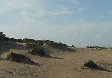 TERRENOS DE 4,5 HECTAREAS CERCA DEL MAR ZONA MAR AZUL