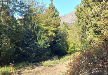 LOTES EN EL BARRIO RESIDENCIAL LA LONJA SAN MARTIN DE LOS ANDES