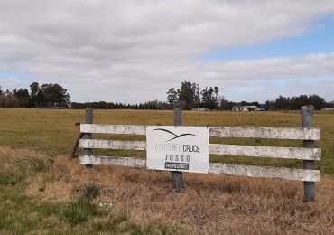 LOTES EN EL NUEVO BARRIO ALTOS DEL CRUCE BALCARCE