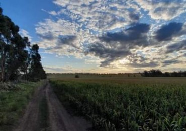 Venta Campo agricola Estacion Chapadmalal 