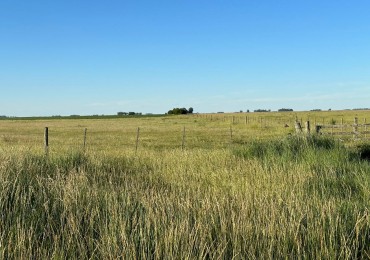 VENTA CAMPO MIXTO MACEDO