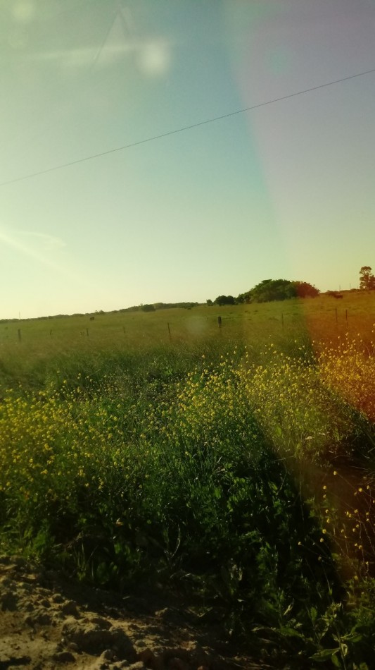 CAMPO 201has. MIXTO CON RIBERA A LA LAGUNA LA SALADA GRANDE