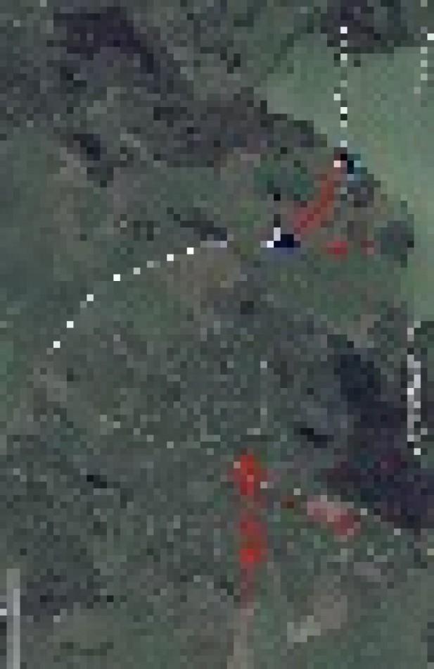 CAMPO 201has. MIXTO CON RIBERA A LA LAGUNA LA SALADA GRANDE